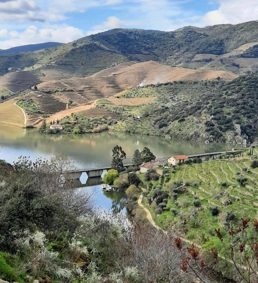Quinta Da Ferradosa Wines Pension São João da Pesqueira Buitenkant foto