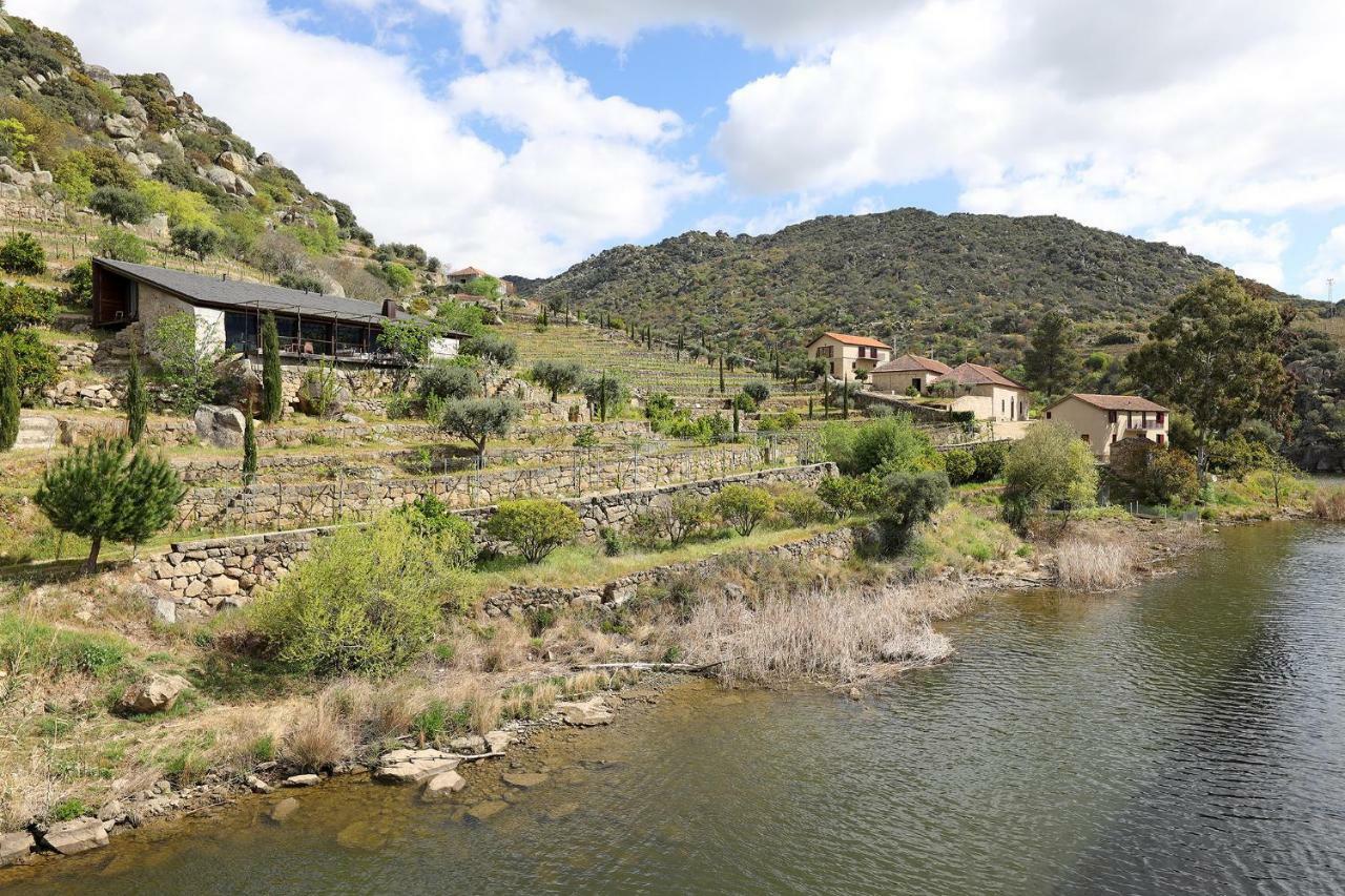 Quinta Da Ferradosa Wines Pension São João da Pesqueira Buitenkant foto