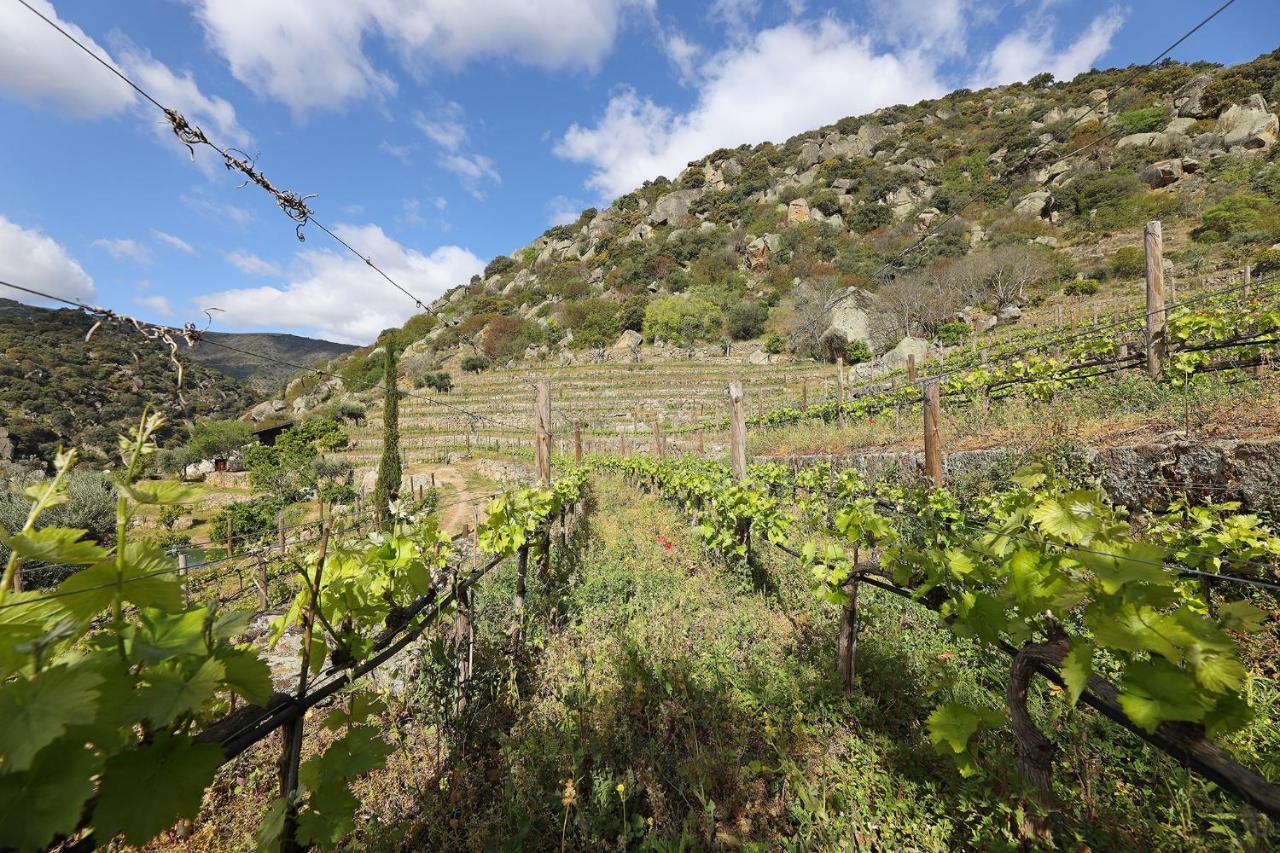 Quinta Da Ferradosa Wines Pension São João da Pesqueira Buitenkant foto