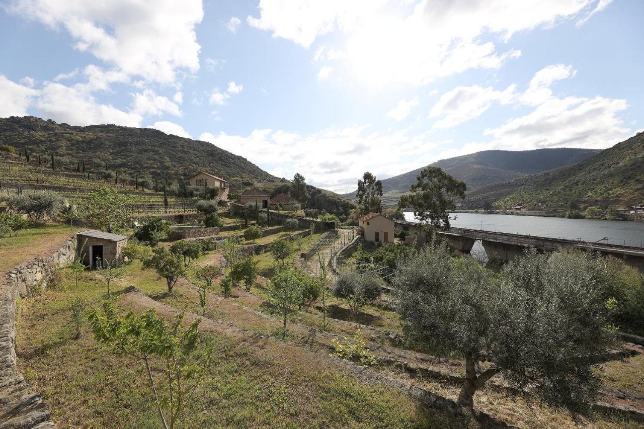 Quinta Da Ferradosa Wines Pension São João da Pesqueira Buitenkant foto