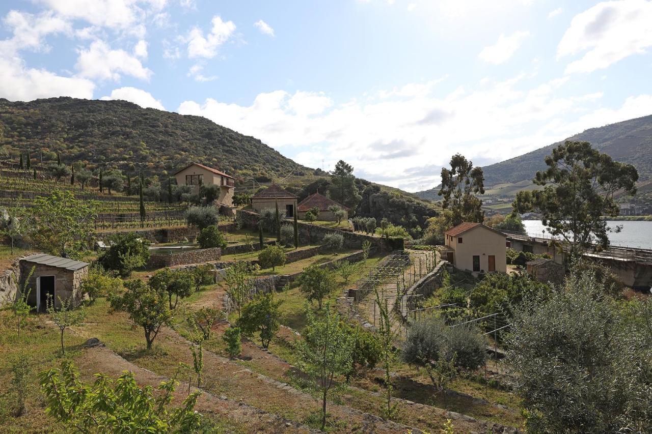 Quinta Da Ferradosa Wines Pension São João da Pesqueira Buitenkant foto
