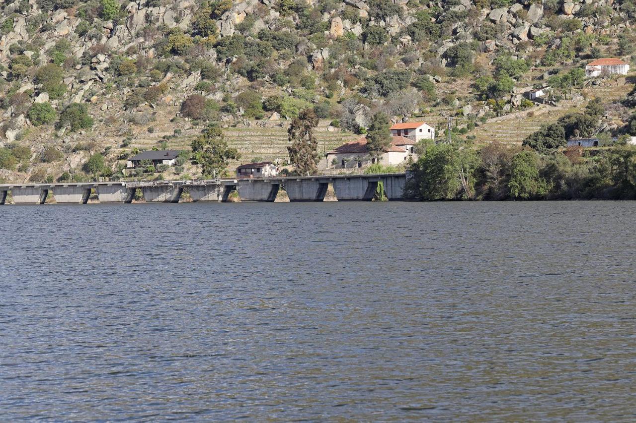 Quinta Da Ferradosa Wines Pension São João da Pesqueira Buitenkant foto