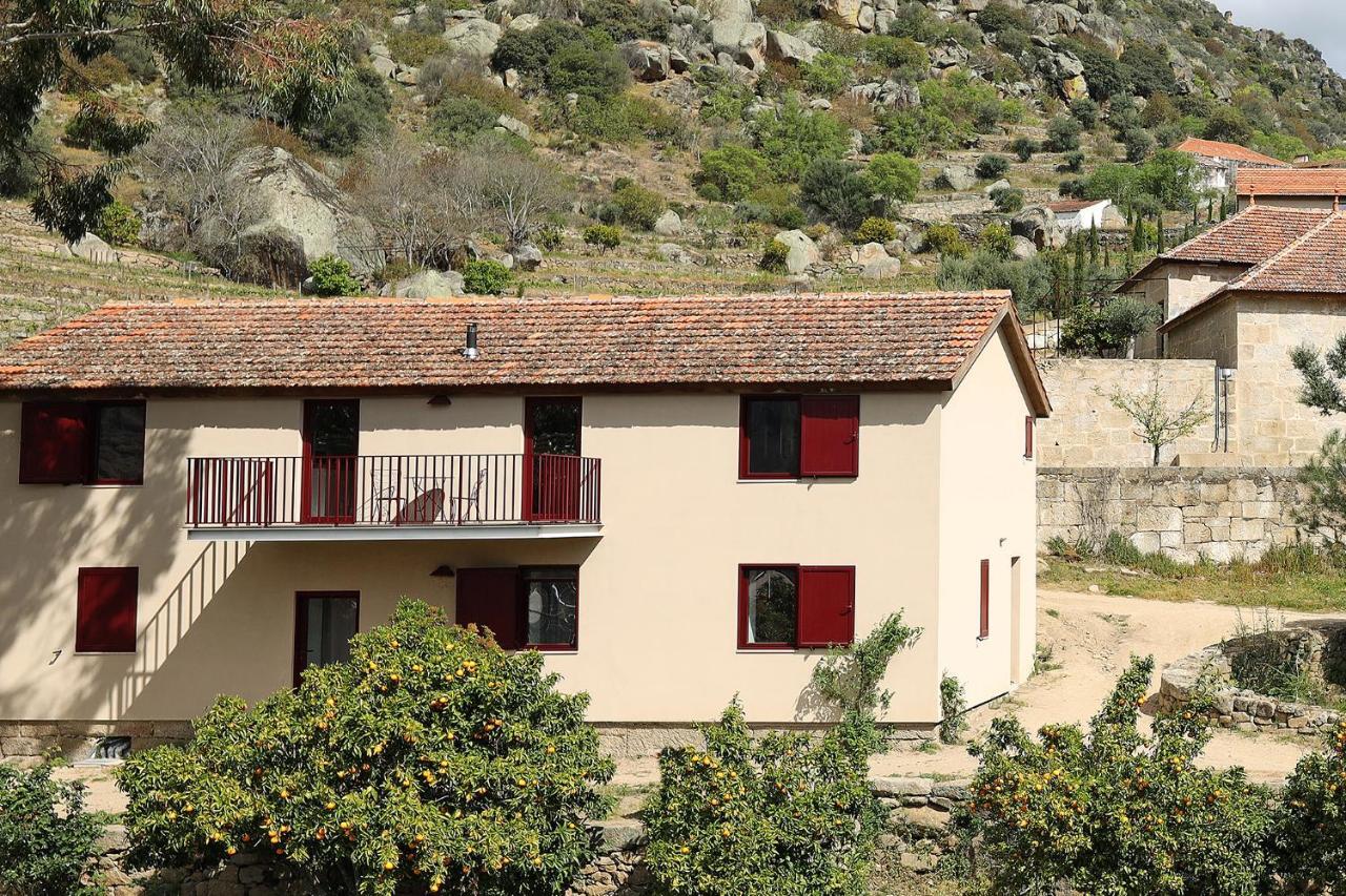 Quinta Da Ferradosa Wines Pension São João da Pesqueira Buitenkant foto
