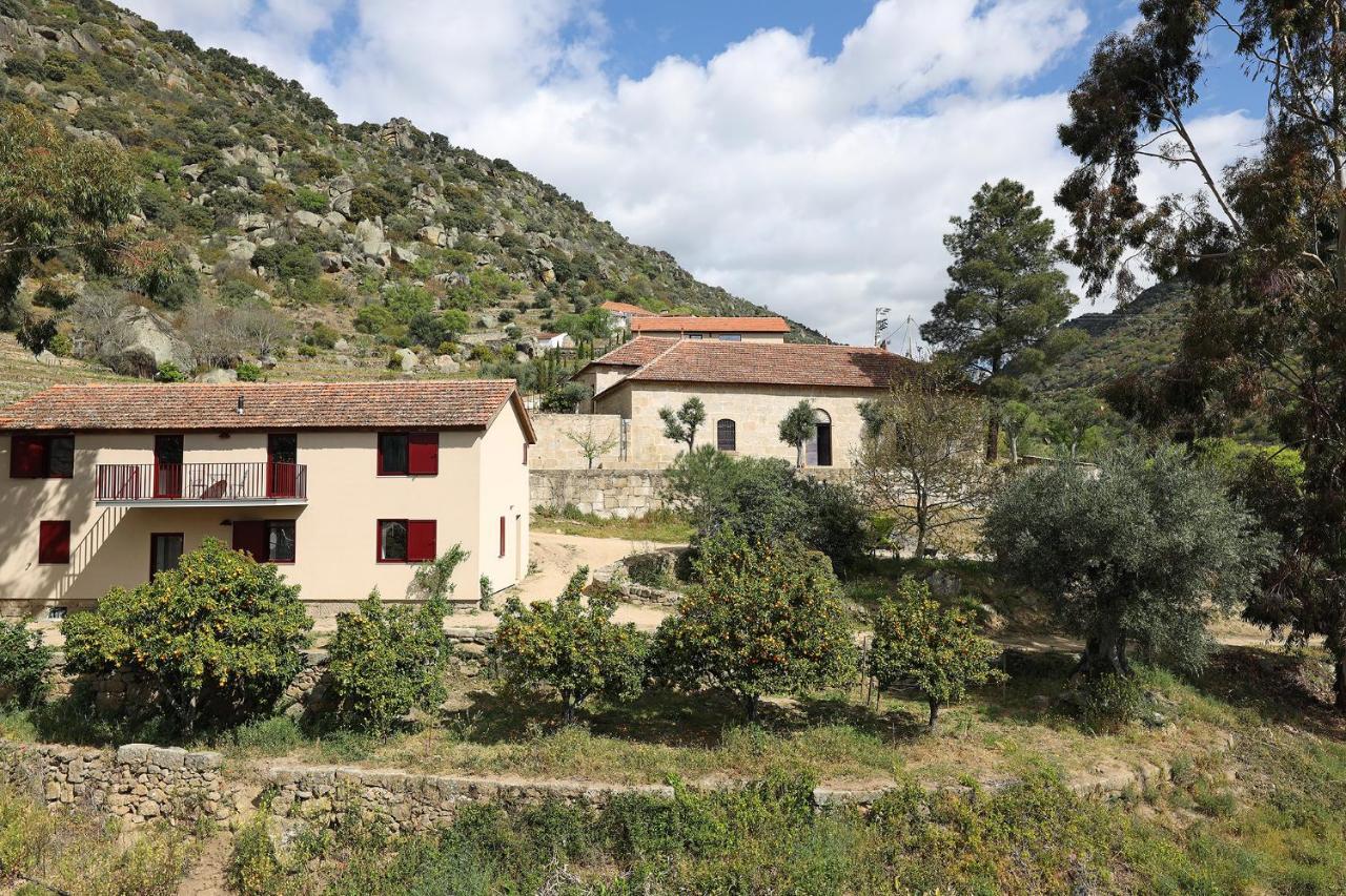 Quinta Da Ferradosa Wines Pension São João da Pesqueira Buitenkant foto