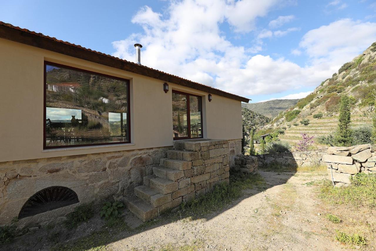 Quinta Da Ferradosa Wines Pension São João da Pesqueira Buitenkant foto