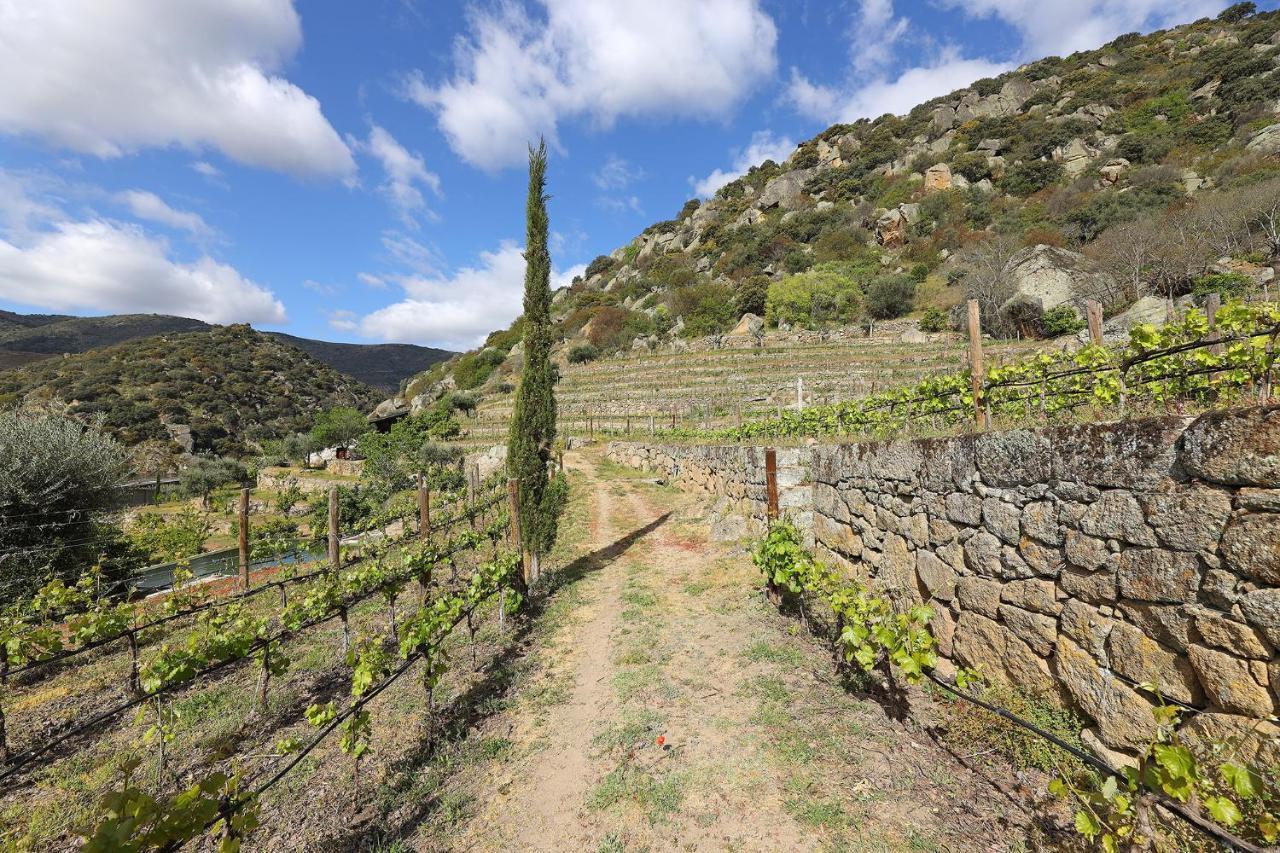 Quinta Da Ferradosa Wines Pension São João da Pesqueira Buitenkant foto